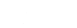 Rex Monkey
